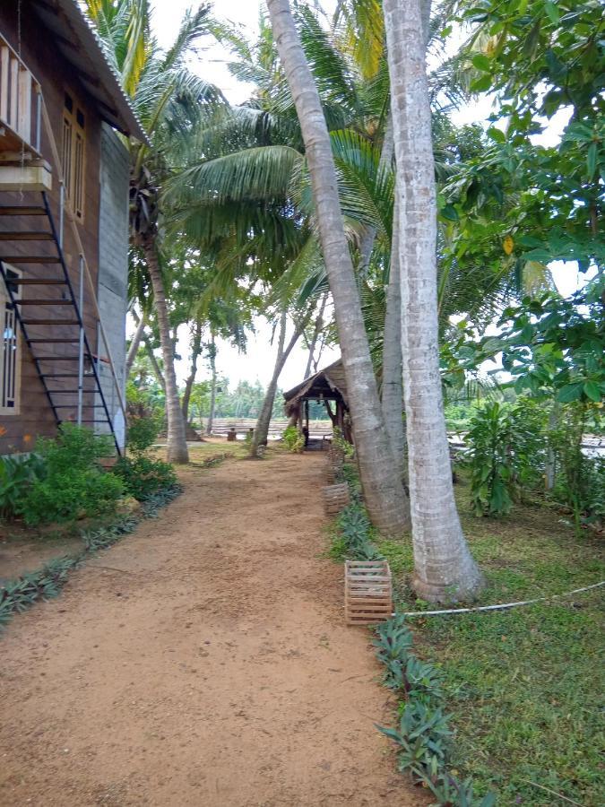 Coconut Island Yala Safari Place Tissamaharama Esterno foto