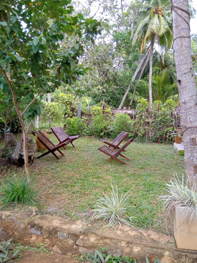 Coconut Island Yala Safari Place Tissamaharama Esterno foto