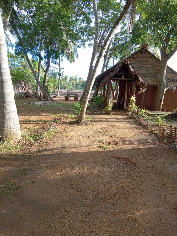 Coconut Island Yala Safari Place Tissamaharama Esterno foto