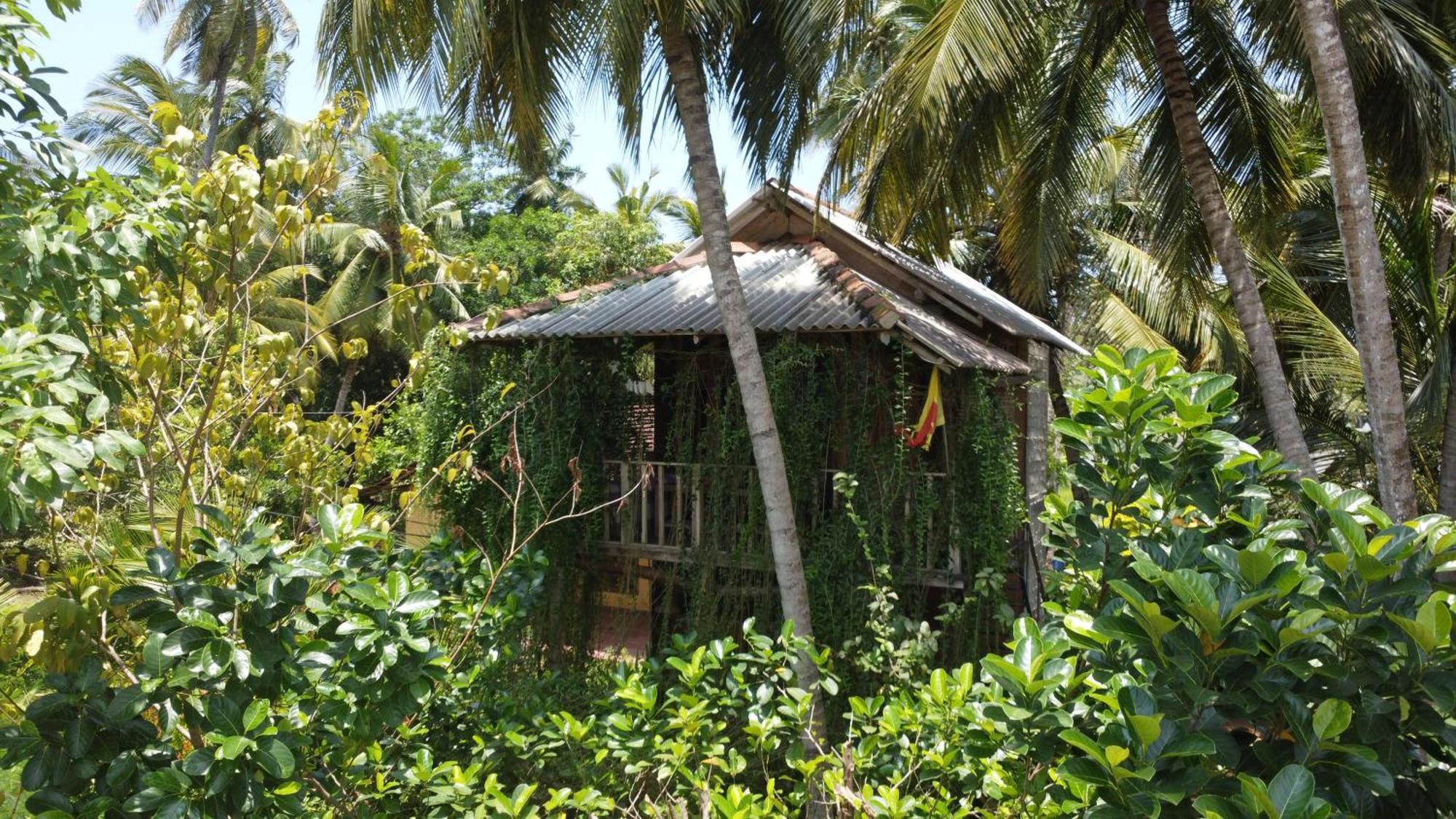Coconut Island Yala Safari Place Tissamaharama Esterno foto